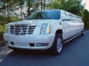 thumbs escalade Cadillac Escalade Limousine